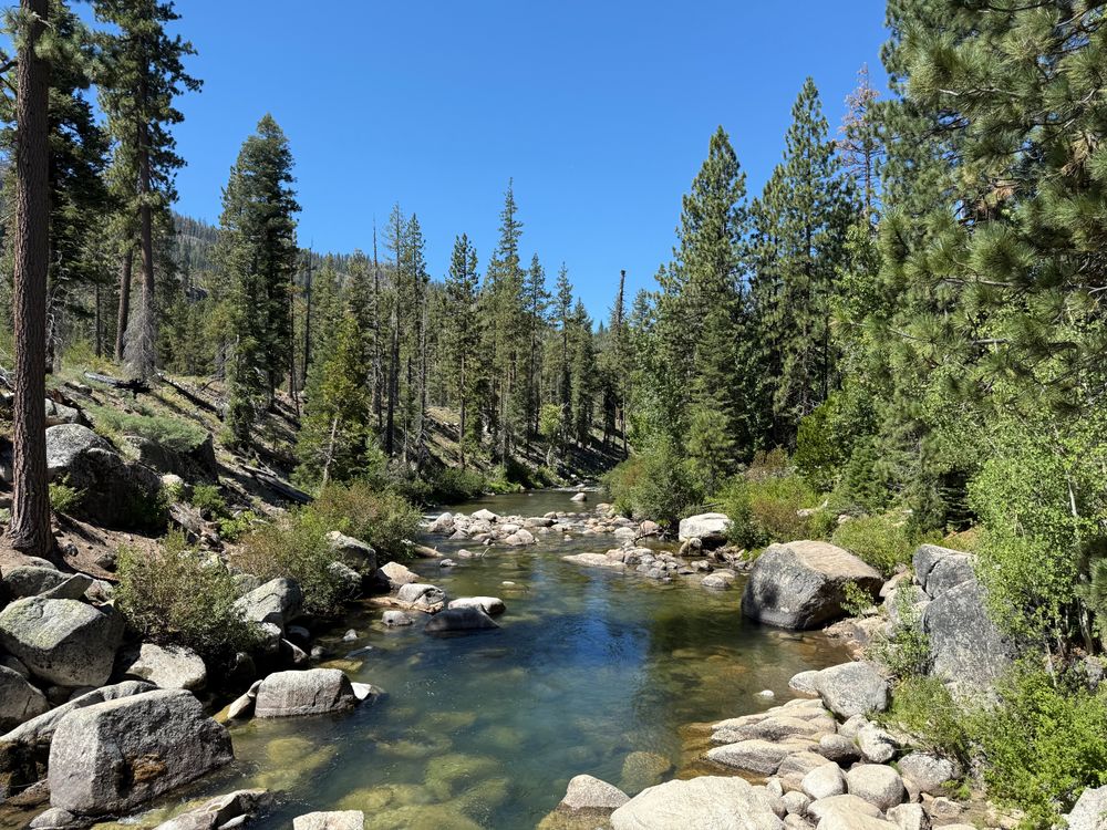 A river with rugged terrain, pine trees, and mountains around 